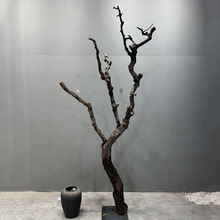 �ݘ��쾰��֦��ɘ�֦���S��҃��}�Q���͘�֦��ԭľ��֦�b�