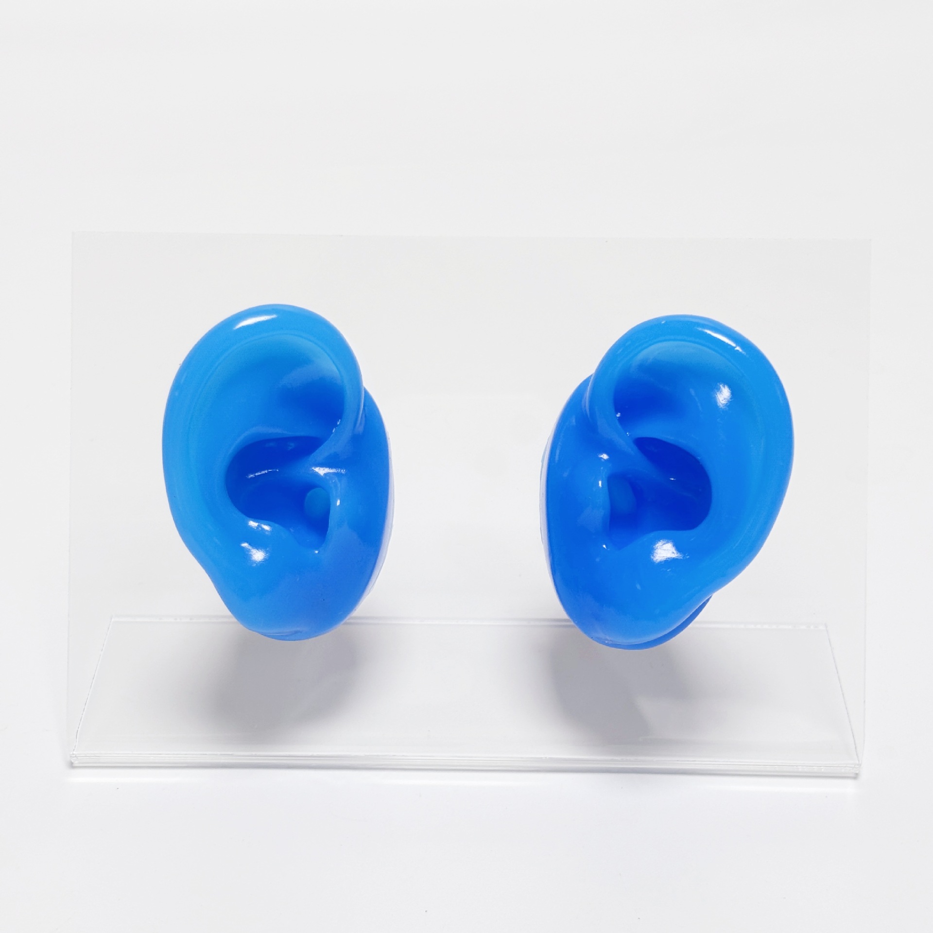 auriculares de silicona modelo de canal auditivo auricular auriculares audífonos auriculares perforación auriculares estante de exhibición joyas pendientes
