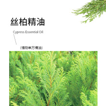 丝柏精油样品摩洛哥植物香薰精油原料批发 美容按摩日化护肤原液