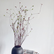 ��ѿ��֦���Gֲ��֦��ѿ�ٻ�������ѿ�ٗl�ҾӔ[�O�͏d�b�