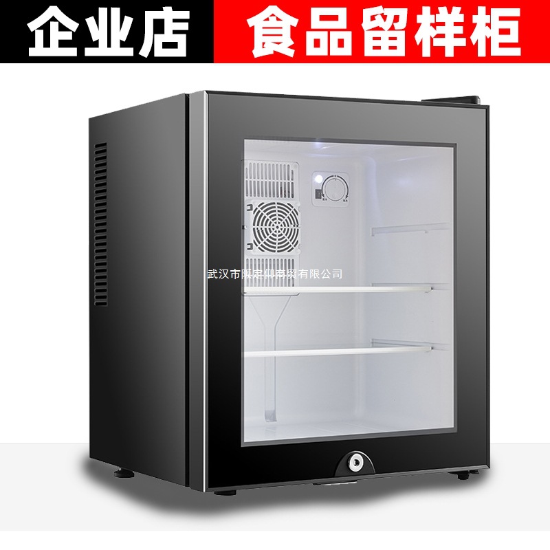 Kindergarten Food Sample Cabinet with Lock Canteen B&B Hotel Room Small Refrigerator Beverage Refrigeration Display Cabinet