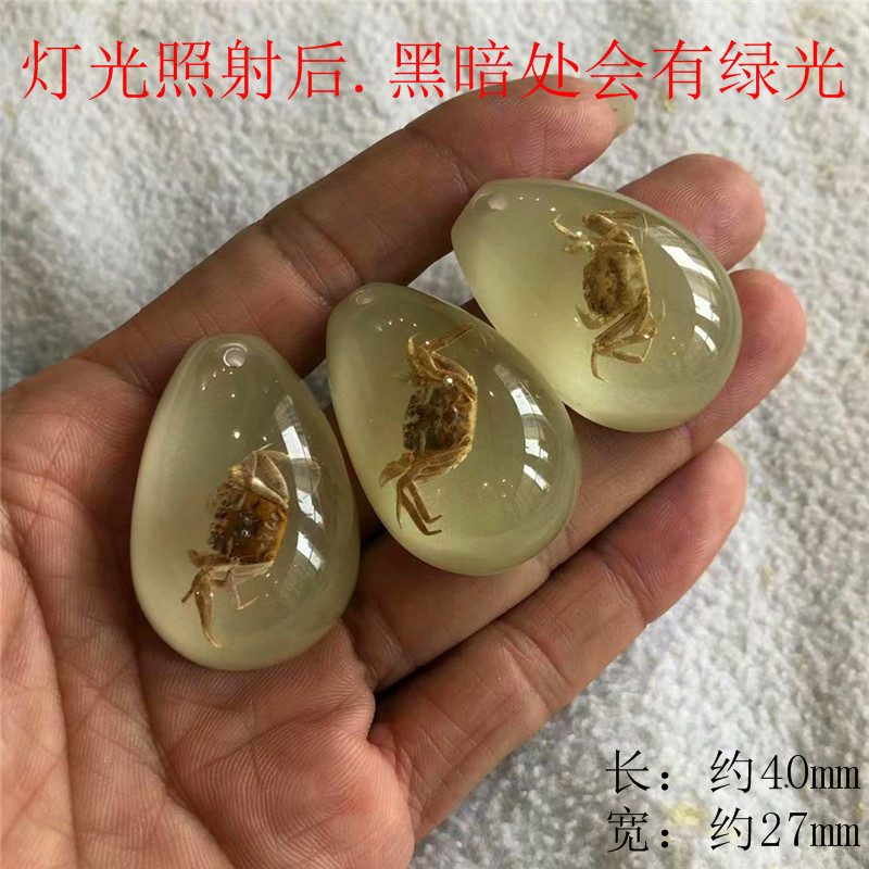厳選された昆虫琥珀標本、サソリ、蝉、ブラインドボックス、子供向けギフト、教科書、学習、発掘、考古学的ペンダントアクセサリー|undefined