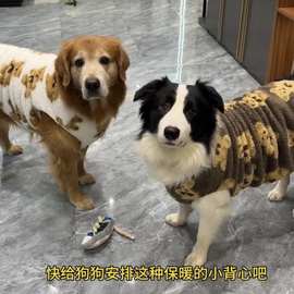 边牧衣服秋冬加绒保暖防掉毛哈士奇金毛拉布拉多大型犬大狗狗棉衣