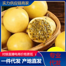 【实力商家】广西钦蜜9号黄金百香果黄色原浆应季新品上鲜果代发