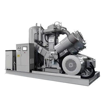 Blowing Explosion-Proof Air Compressor, Hava kompressorları