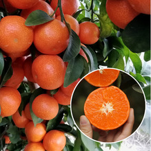 �ָ���̽�������������l�޽ӹ�������B�����Ե��ԏV�|�V������