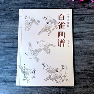 Baique painting spectrum Chinese painting line drawing manual drawing white drawing draft Sparrow Atlas Copy model Bird Painting Book
