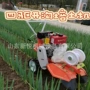 四驱农用果园施肥培土机