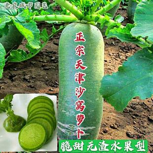 ɳ�Cˮ���}���N��ˮ���}���N�����}�������߲ˈ@�̨ͥԺ¶�طNֲ