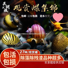 �^�p�ݳ��Ú��ֳ����۷�Ǻڽ����U�~�¹��ϼy��ˮ���R��з�^�S��