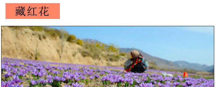 Premium Saffron Threads Zang Hong Hua Crocus sativus Dried Stigmas for Culinary and Herbal Use 3g Bottle overview