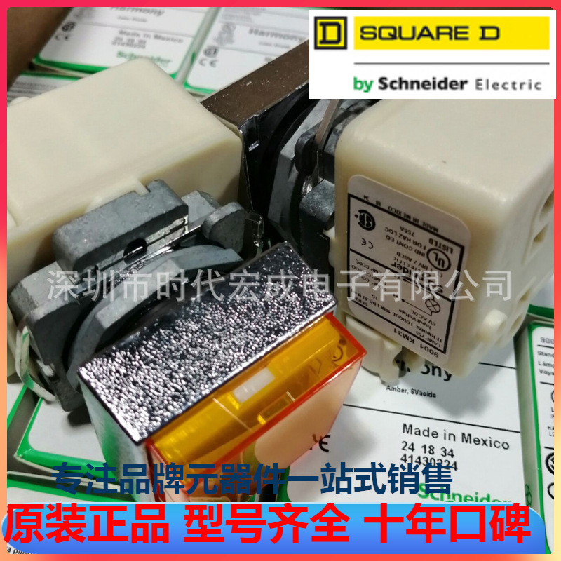 SQUARE D美商实快-Schneider代理9001KXPA31A