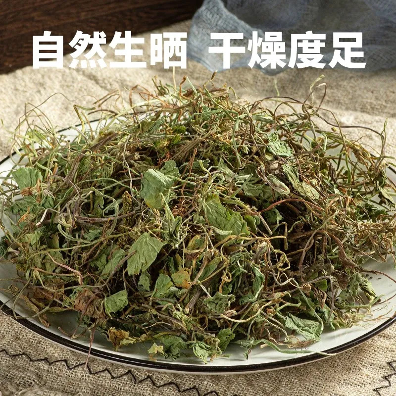 Dried Centella Asiatica Herb Ji Xue Cao Sun Dried Loose Leaf for Herbal Tea and Decoction overview