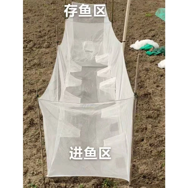 White, 10meter