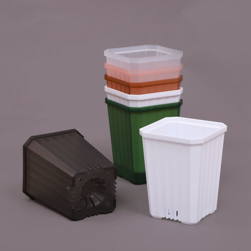 Прозрачный пластиковый цветочный горшок для суккулентов и бонсай, 11 см, модель Twilight Pot, для растений Twelve Scrolls Jade Dew Master, термостойкий