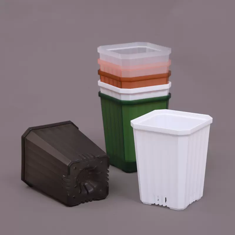 11cm暮光盆多肉十二卷玉露法师热植透明塑料花盆盆景透明花盆绿植