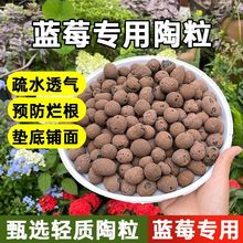 养花园艺陶粒疏水透气垫底铺面蓝莓树苗种花种菜绿植水培智能花盆