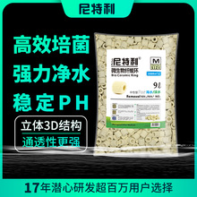 ΢wShմɭhˮˮݸ~^VͰV