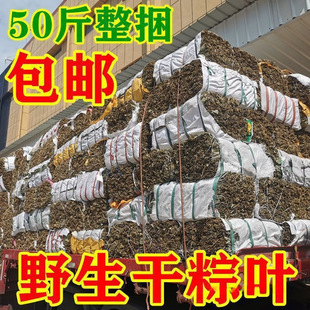 Wholesale Bamboo Leaves for Commercial Use, Dragon Boat Festival Bamboo Leaves for Wrapping Wild Rice Dumplings, Large Dried Wild Bamboo Leaves for Dragon Boat Festival, 50 Wild