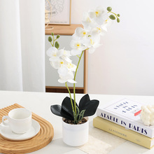 ���滨�����m�������b�Ҿӿ͏d���P�b�����[�żٻ���������m