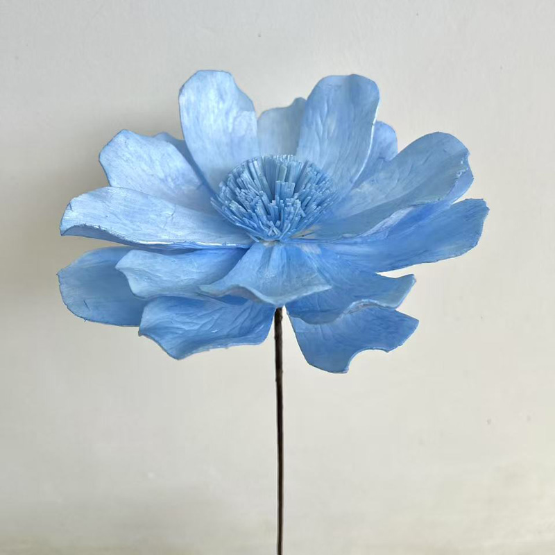 Gran lirio de hierba azul de 15 - 16 cm de diámetro y 60 cm de largo