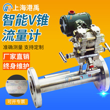 V锥流量计差压式节流装置高温沼气高炉煤气高精度