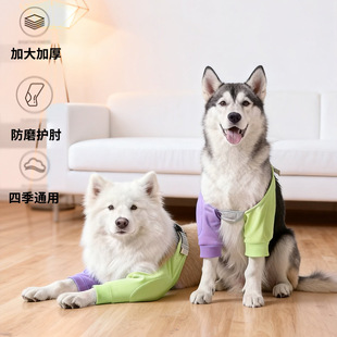 �����o���oϥ�¼Ӵ�Ӻ�ǰ���P�����o�׌���߅����ë�д���Ȯ��ĥ