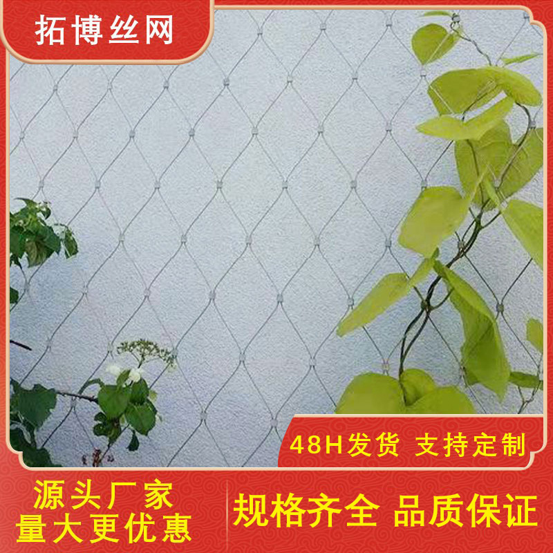工厂供应304不锈钢丝绳网植物园攀爬网花园公园墙壁装饰网护栏网