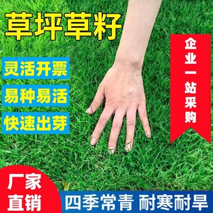 ��ƺ���яS�����l�ļ���N��ͥԺ���̾G�������ݹ������o�²���