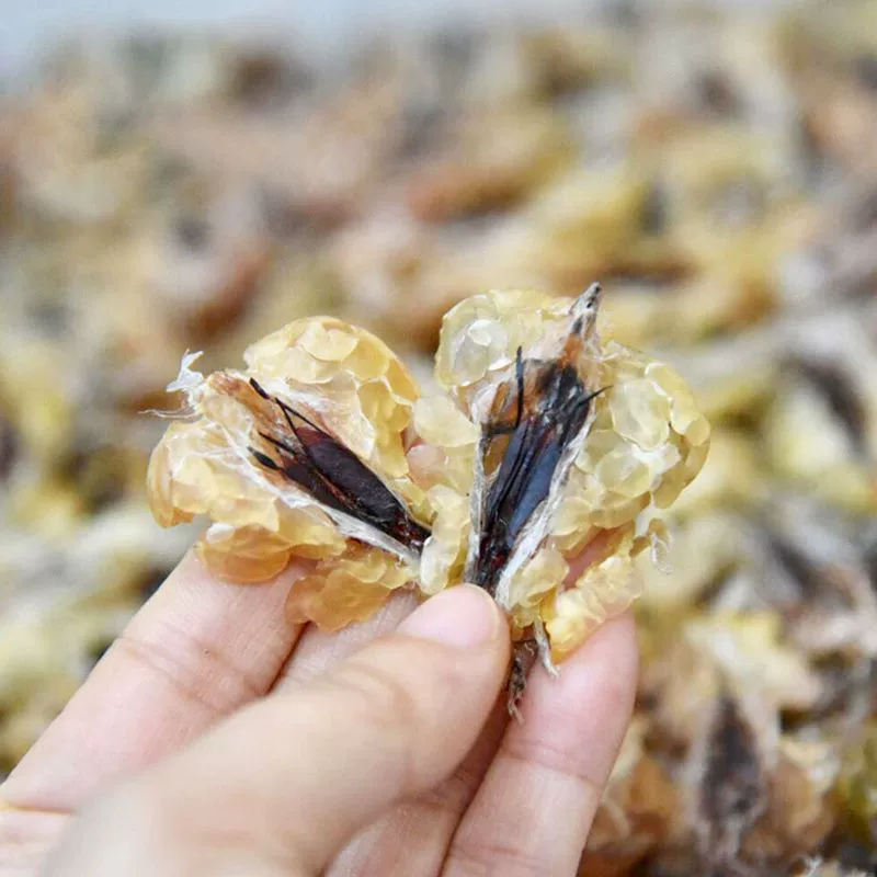 Джинлинская лягушьяя масло брашангбаишань лягушья масло ледяное лягушье масло мазь очищенное масло конъюгированное масло разведение лягушьего масла оптовая продажа