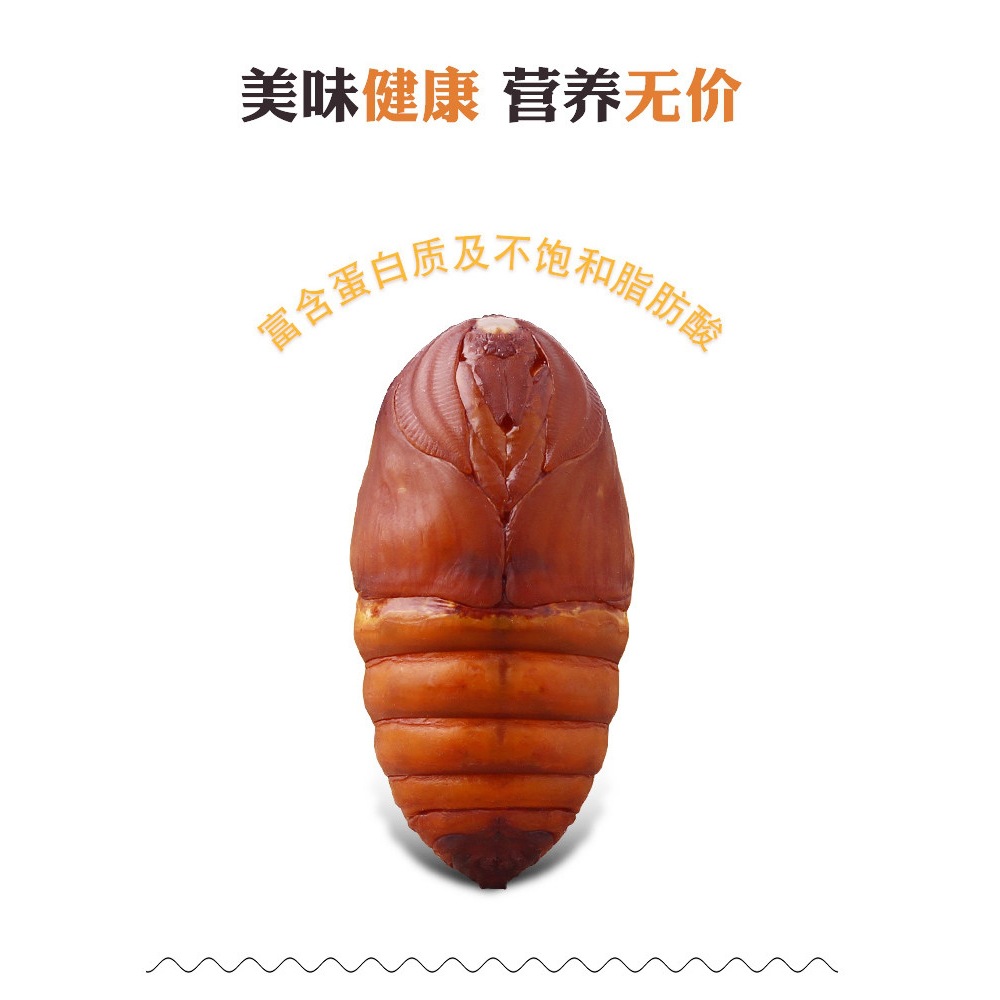 东北特产柞蚕蛹新鲜大黄蚕蛹黄蚕蛹茧蛹蚕蛹鲜蝉蛹活大黑蚕蛹500g
