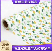 源头工厂纺粘无纺布户外野餐垫专用面料覆膜印花无纺布彩印PP无纺