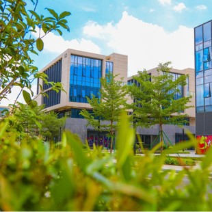 Dongguan Songshan Lake District Dalingshan Town High-tech Industrial Park for rent, size can be sublet