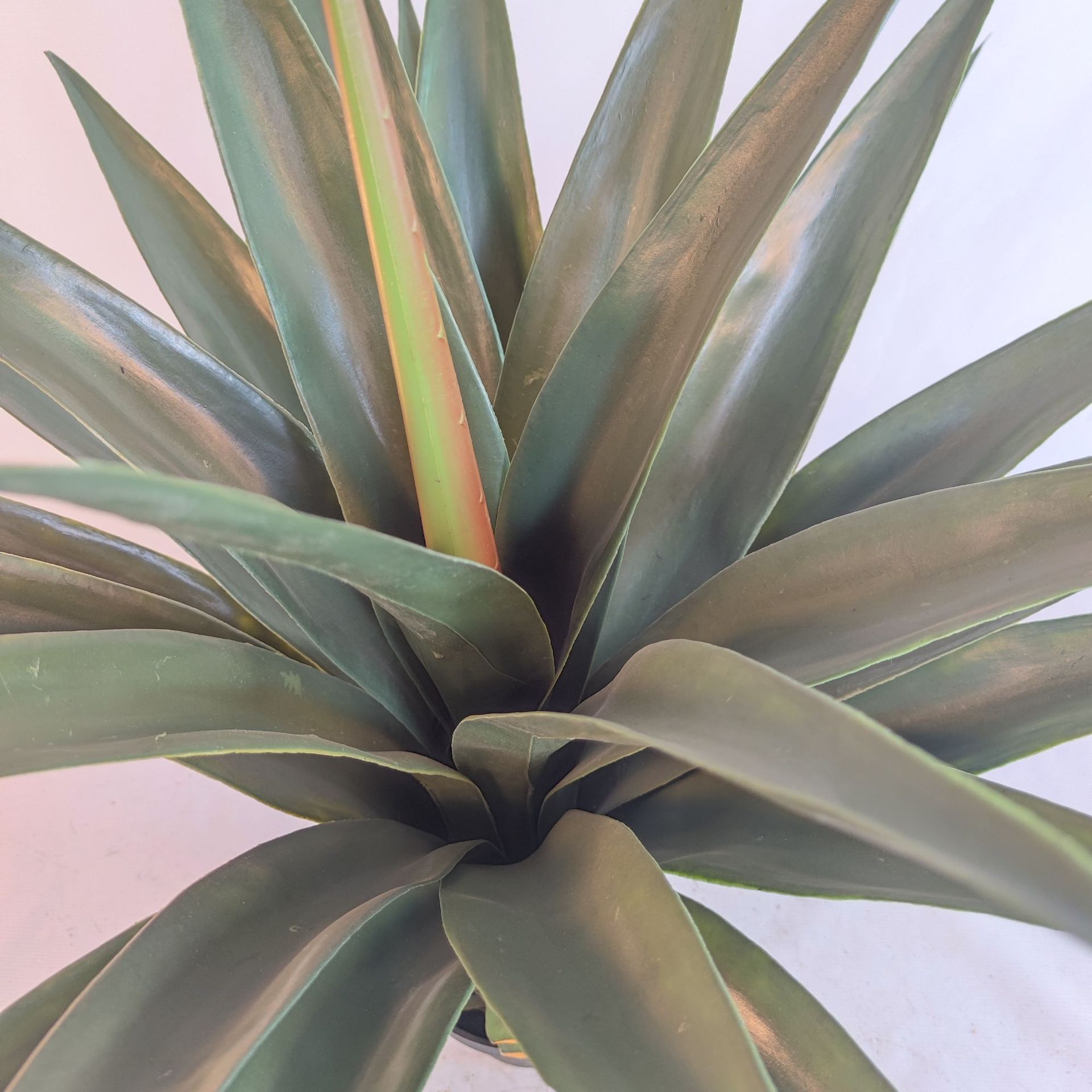 Simulación Crown Orchia Desktop Planta en maceta pequeña Simulación en maceta Oriente Medio Modelo de venta caliente Simulación Crown Orchia Árbol pequeño