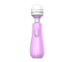 Purple roly-poly doll