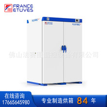 法賽圖XUELT980工業烘箱 電熱鼓風試驗干燥箱 恆溫老化實驗室烤箱
