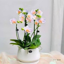 �ߙn���նYƷ�� ����������M�����m�҃Ȼ����L�ļ��_�� ��S���l