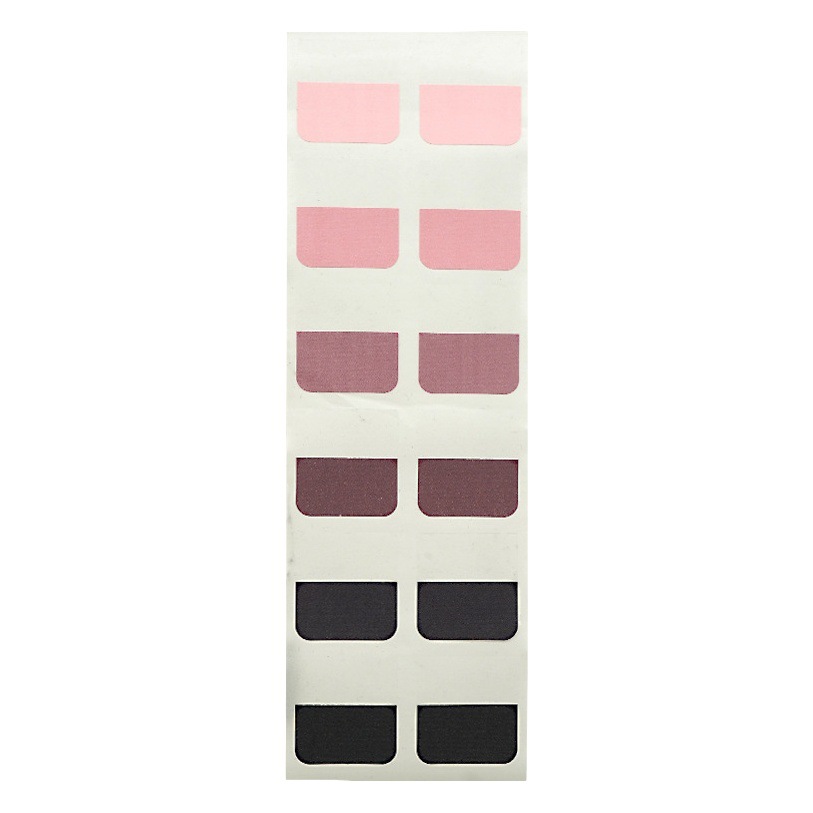 Nuevo índice inswind color Blackberry etiqueta de paginación etiqueta etiqueta pequeña explosión libro rojo etiqueta de papel de papel de color gradiente fábrica