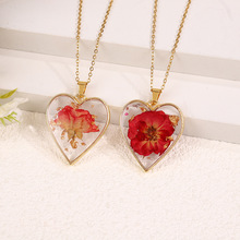 �S��؛Դ�n�治Ҏ�t�׺��ε��z��Ȼ�ɻ����滨�˱��Ʒ�|�۶Y��