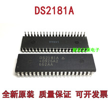 DS2181A �p�в��_���b DIP40 ���оƬԪ���� �F؛