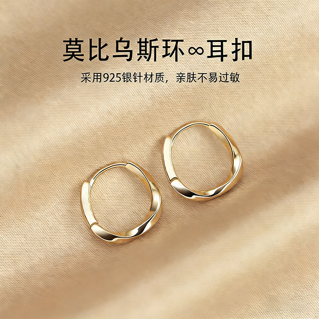 925 Silver Needle Earrings for Women 2025 New Popular Style High-End Ear Clips Ear Studs Plain Hoop Earrings