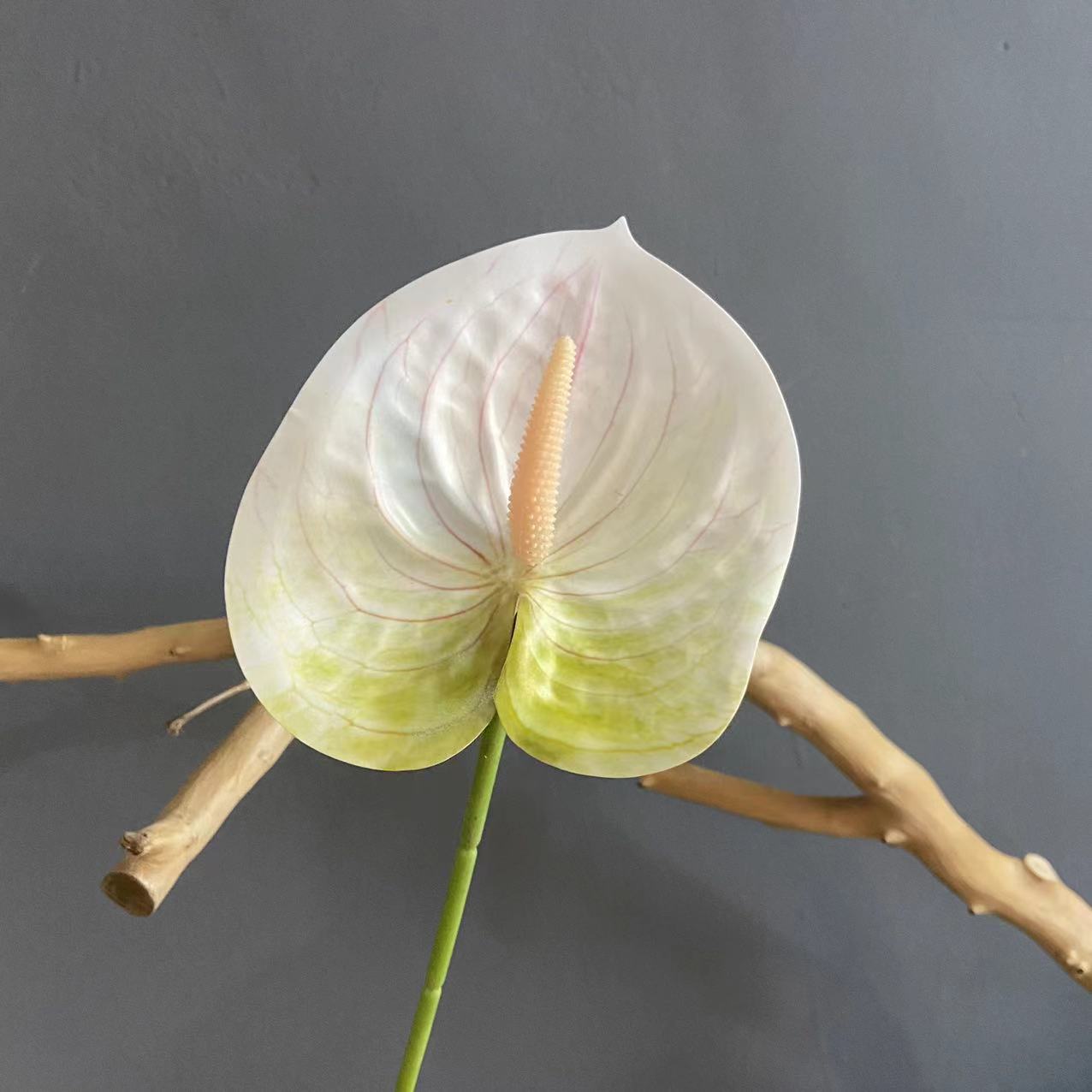 #2 (색상 당 10 스틱 픽업, 덜 쏘지 마십시오)