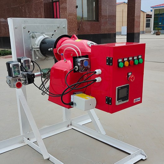 Combustible diesel metanol gas natural quemador de gas calderas industriales horno de aceite vegetal China continental