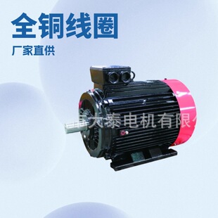 ɽ�|��̩늙CYE3-250-2-55KW����ȫ�~���ஐ���L�Cˮ�ó���늙C
