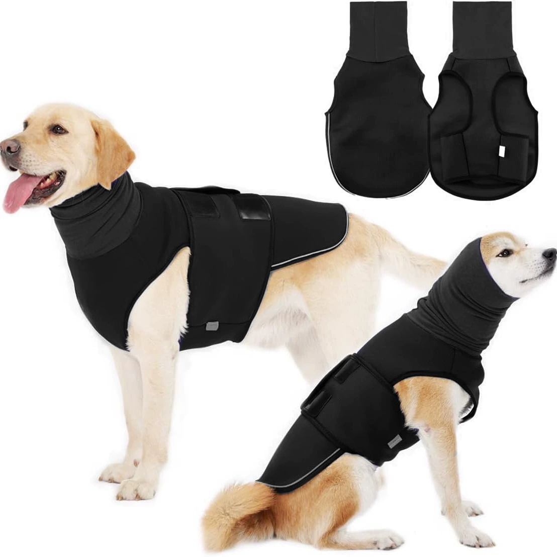 Амазонка собаки, физиологические брюки, кошки после операции