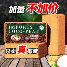 Ҭ�u�o�}�o���I�B��ͨ����Ҭ���o�}Ҭ�����N���B���N�˷NֲҬ�u��