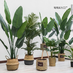 WGֲ˽Ԕ[͏dbپGֲ҃ؼ٘[O