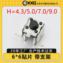 6*6*4.3H֧ Ȳ΢_P͸ߜذI_Po_p|_P