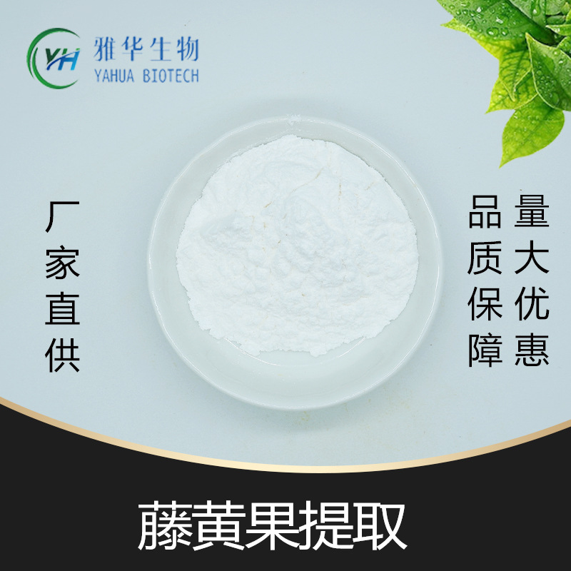 藤黄果提取物10:1 雅华生物 比例萃取 藤黄果粉 藤黄果酵素提取粉
