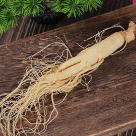 长白山保鲜参加酒保鲜东北特产泡酒送礼小额批发源头工厂个体经营